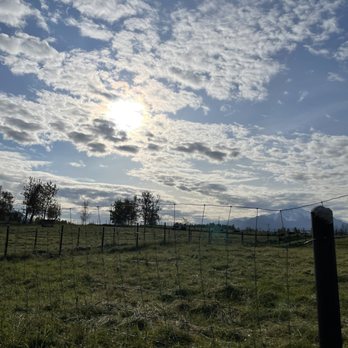 Musk Ox Farm - Extraordinary morning with a beautiful sun over the valley - CSA Near Me - Palmer, Alaska
