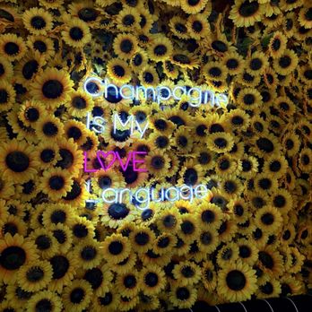 The Sunrise House - Flower Wall - Breakfast & Brunch Near Me - Houston, Texas The Sunrise House - Flower Wall - Breakfast & Brunch Near Me - Houston, Texas