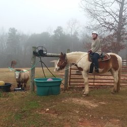 Cannon Equine Instruction - Horses