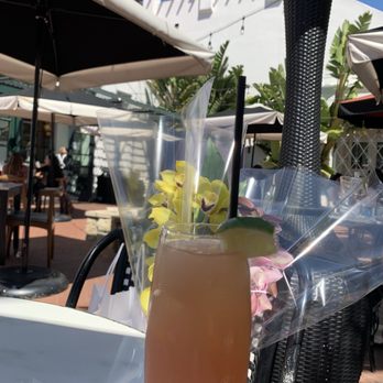 Goat Tree - Paloma - Cafes Near Me - Santa Barbara, California Goat Tree - Paloma - Cafes Near Me - Santa Barbara, California