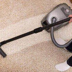 Dave's Carpet Cleaning - Untitled