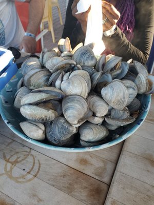 Cholla Bay Oyster House by null