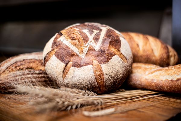 Wild Flour Bakery by null