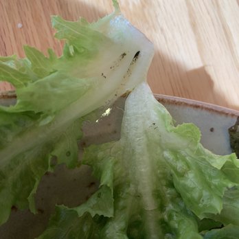 Tender Greens - Dirt on tender greens - New American Near Me - Pasadena, California Tender Greens - Dirt on tender greens - New American Near Me - Pasadena, California