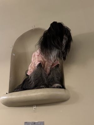 Fitzgerald Theater by null