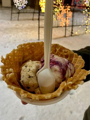 Jeni's Splendid Ice Creams by null