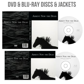 Seven Blocks Design - Discs and Jackets - Web Design Near Me - Santa Monica, California Seven Blocks Design - Discs and Jackets - Web Design Near Me - Santa Monica, California