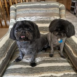 Belinda's Pet Grooming