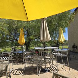 Tenuta Vineyards