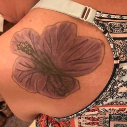 Scotts Tattoo Cave - My hibiscus with the original tattoo showing through.