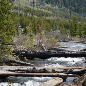 Eagle Cap Wilderness - Big Sheep Creek trail, first creek crossing - Hiking Near Me Eagle Cap Wilderness - Big Sheep Creek trail, first creek crossing - Hiking Near Me