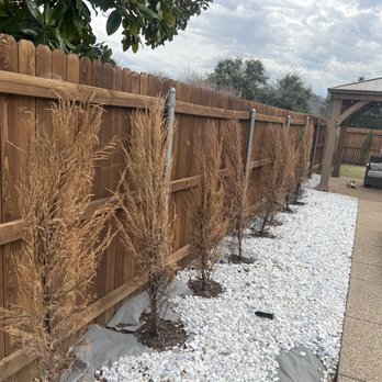 Garden Goods Direct - 6 weeks after planting - Nurseries & Gardening Near Me - BOWIE, Maryland Garden Goods Direct - 6 weeks after planting - Nurseries & Gardening Near Me - BOWIE, Maryland