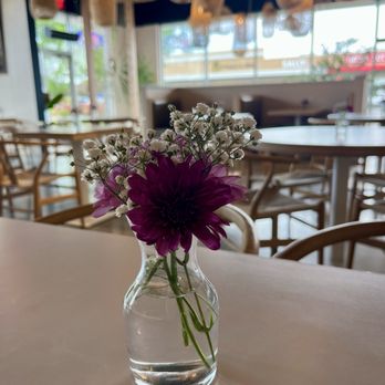 Zullee - Great peaceful atmosphere too! - Mediterranean Near Me - Nampa, Idaho Zullee - Great peaceful atmosphere too! - Mediterranean Near Me - Nampa, Idaho