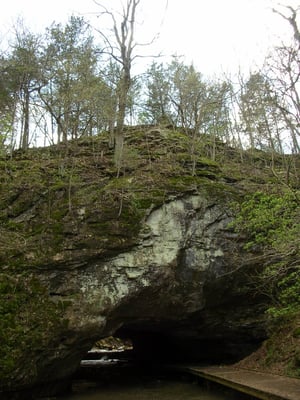 Rock Bridge Memorial State Park by null