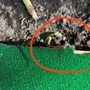 Photo of JNO Concrete Contractor