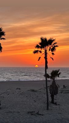 Zachari Dunes on Mandalay Beach, Curio Collection by Hilton by null