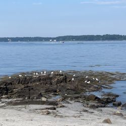 Hope Harbor Counseling & Family Therapy