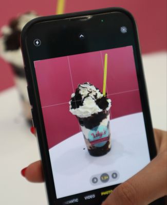 Lily's Handmade Ice Cream by null