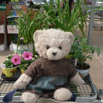 Countryside Greenhouse - About to check out. - Nurseries & Gardening Near Me - Allendale, Michigan