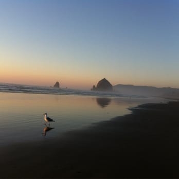 Cannon Beach - Beaches Near Me Cannon Beach - Beaches Near Me