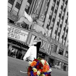 Amanda Williams Photography - Photo by Amanda