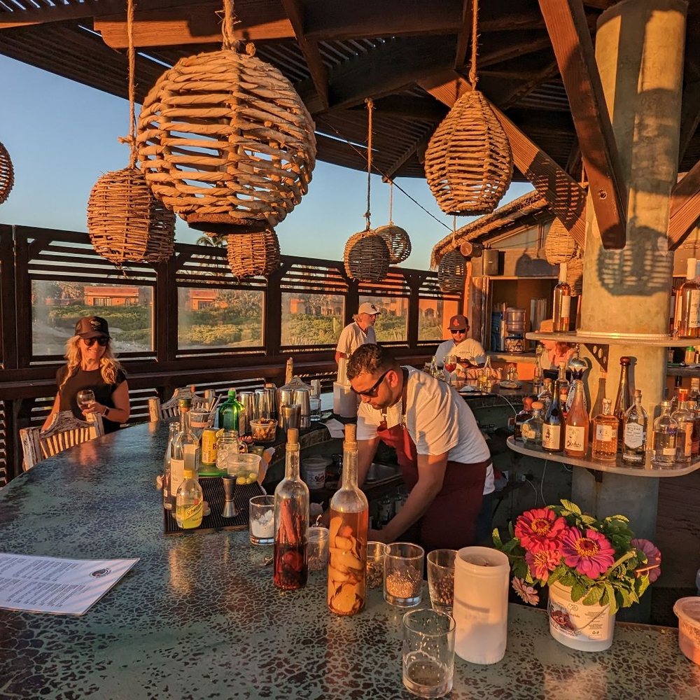 The Green Room - Da bar - Seafood Near Me - Todos Santos, BCS The Green Room - Da bar - Seafood Near Me - Todos Santos, BCS