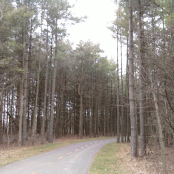 Walnut Woods Metro Park - Eerie treestand. - Parks Near Me - Groveport, Ohio Walnut Woods Metro Park - Eerie treestand. - Parks Near Me - Groveport, Ohio