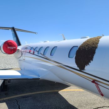 BeeSmart Bee Removal - Honeybee Swarm live removal from jet - Pest Control Near Me - Hemet, California