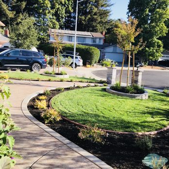 Arreola Landscape and Pool Design - Landscaping Near Me