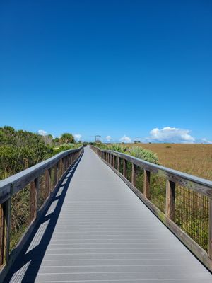 Smyrna Dunes Park by null