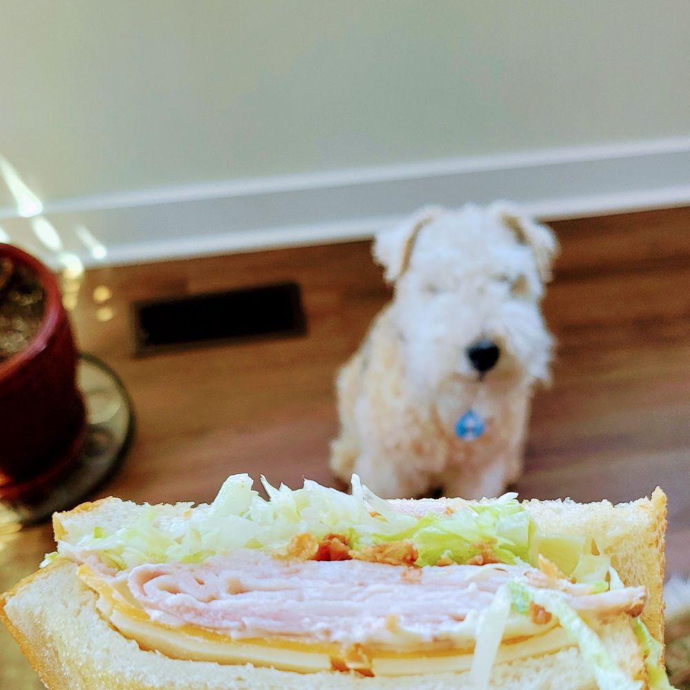 South Market Sandwich - Club Sandwich - Salad Near Me - Frederick, Maryland South Market Sandwich - Club Sandwich - Salad Near Me - Frederick, Maryland