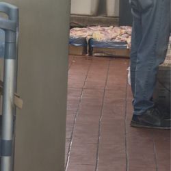 China One - Chicken laying and touching the floor.