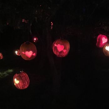 The Great Jack O' Lantern Blaze - Long Island - Festivals Near Me - Old Bethpage, New York The Great Jack O' Lantern Blaze - Long Island - Festivals Near Me - Old Bethpage, New York