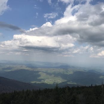 Mount Mitchell State Park - Parks Near Me - Burnsville, North Carolina
