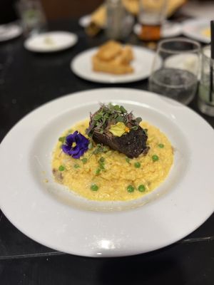 Casino @ Dania Beach by null