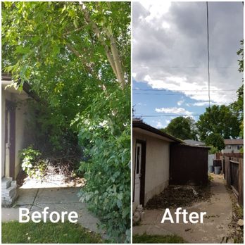 Molly Tree Services - Tree Services Near Me Molly Tree Services - Tree Services Near Me
