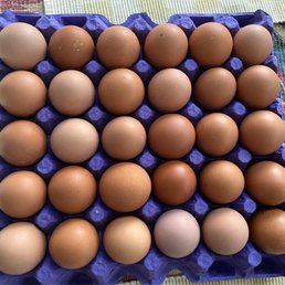 1 flat (30 eggs)