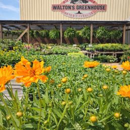 Exterior photo of Walton's Greenhouse - Tupelo, Mississippi Exterior photo of Walton's Greenhouse - Tupelo, Mississippi