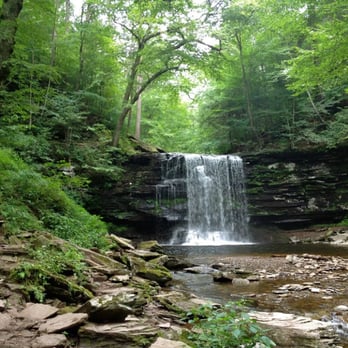 Ricketts Glen State Park - August 2012 - Parks Near Me - Benton, Pennsylvania Ricketts Glen State Park - August 2012 - Parks Near Me - Benton, Pennsylvania
