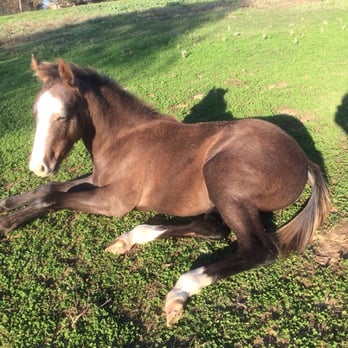 BROKEN BOW RANCH - Updated March 2026 - 45 Photos & 62 Reviews - 1755 E ...