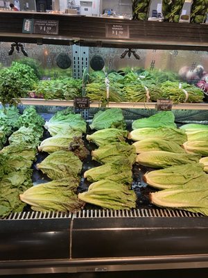 Harmons Grocery - Santa Clara by null