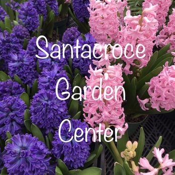 Santacroce Greenhouses - Florists Near Me - Staten Island, New York Santacroce Greenhouses - Florists Near Me - Staten Island, New York
