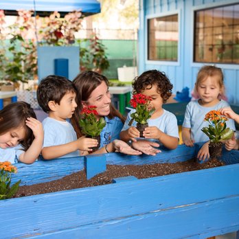 Davie Academy - Preschools Near Me - Hollywood, Florida Davie Academy - Preschools Near Me - Hollywood, Florida
