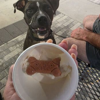 Bruster's Real Ice Cream - Pup cup - Ice Cream & Frozen Yogurt Near Me - Golf, Florida Bruster's Real Ice Cream - Pup cup - Ice Cream & Frozen Yogurt Near Me - Golf, Florida