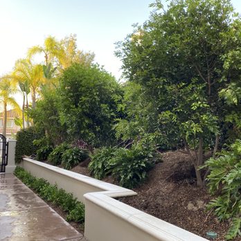 Moon Valley Nurseries - Tree Services Near Me - Irvine, California Moon Valley Nurseries - Tree Services Near Me - Irvine, California