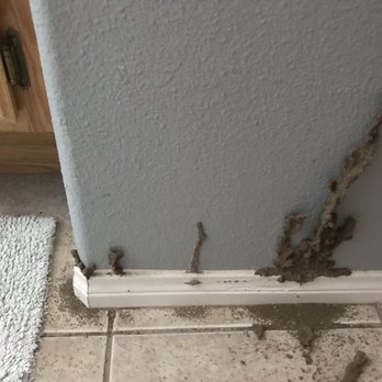 A TAC Exterminators - Pest Control Near Me - Beaumont, California A TAC Exterminators - Pest Control Near Me - Beaumont, California
