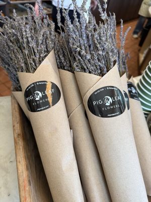 Perenn - Franklin by null