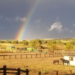 Best of the best for horse and rider!