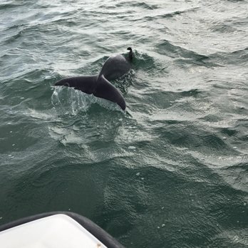 Dancing Dolphin Spirits Charters - Tours Near Me - Key West, Florida Dancing Dolphin Spirits Charters - Tours Near Me - Key West, Florida