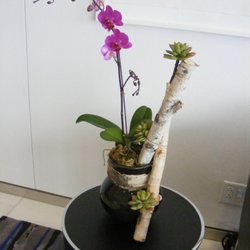 Mondu Floral Design